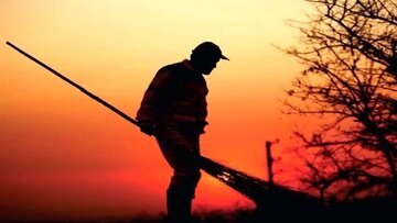 پاکبان حلال خور