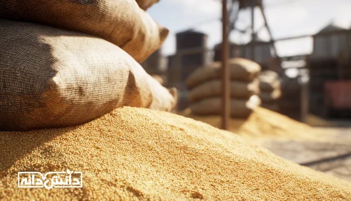 تجمع «ذرت دامی» در محوطه بارگیری و انبار روباز؛ نمای نزدیک از دانه‌های ذرت ریخته‌شده کنار کیسه‌های گونی‌بافی‌شده، در پس‌زمینه سازه‌های صنعتی و سیلوهای ذخیره نهاده‌های دامی.